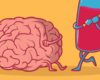 Le cerveau victime collatérale de l’alcool